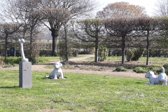 De-wandeldaar-Linge-Waal