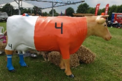 Cow-1